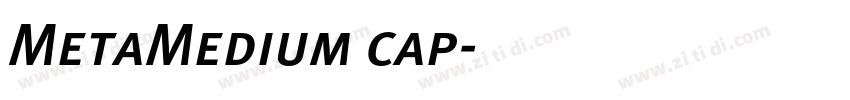 MetaMedium cap字体转换